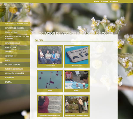 alén | comunicación web & multimedia